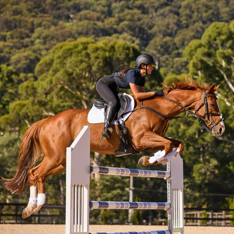 A rider on a brown horse uses a Weatherbeeta Prime Air-Tec White jump saddle pad over an outdoor jump.