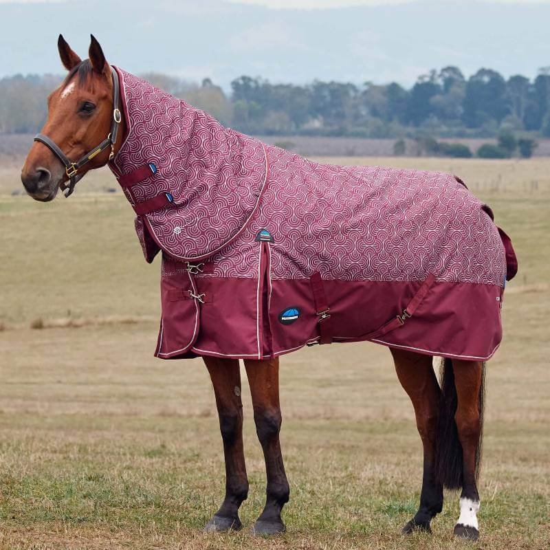 Weatherbeeta Comfitec Limited Edition Detach-A-Neck Medium Weight Turnout Rug 220G Bit Print