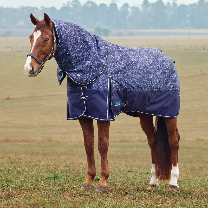 A brown horse wears a Weatherbeeta floral detach-a-neck turnout rug in a grassy field.