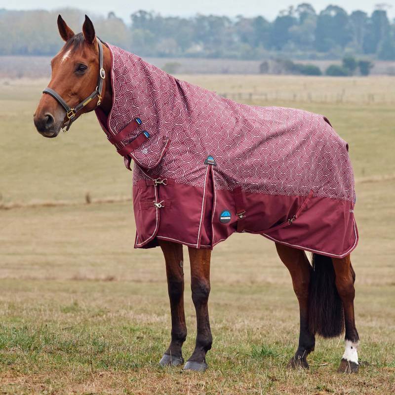 A horse wears a Weatherbeeta bit print turnout rug in a grassy field.