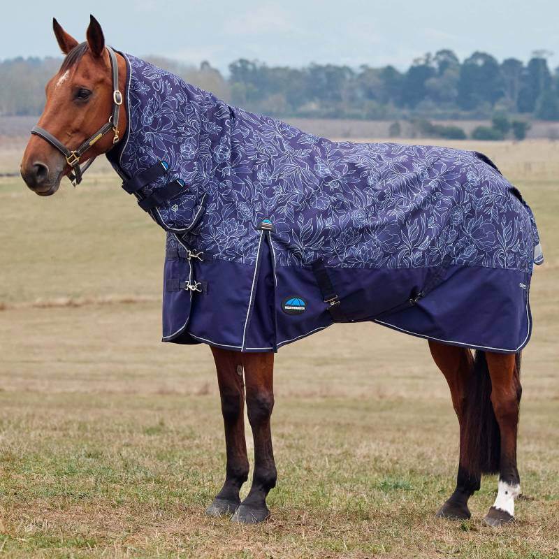 A brown horse in a Weatherbeeta floral print turnout rug stands in a grassy field.