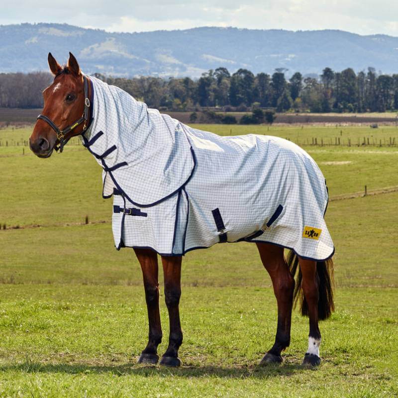 Saxon horse in a Kool Coat Lightweight Combo Fly Rug stands in a grassy field with hills behind.
