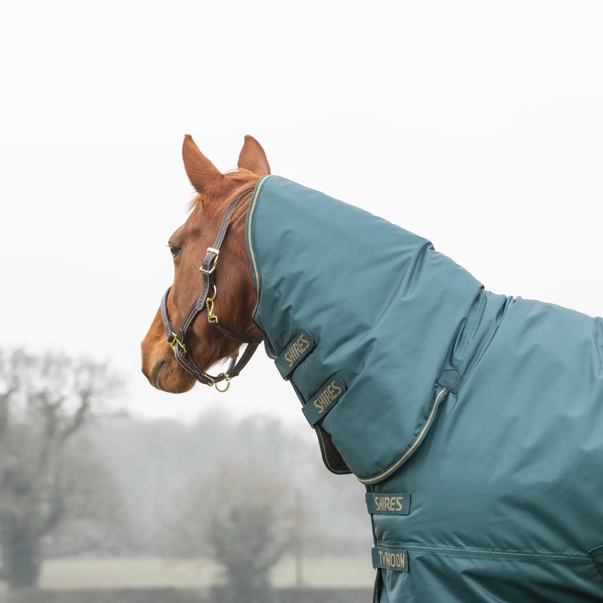 Shires Typhoon 200g Medium Weight Combo Neck Turnout Rug Green