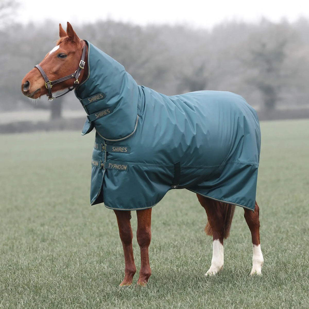 Shires Typhoon 200g Medium Weight Combo Neck Turnout Rug Green