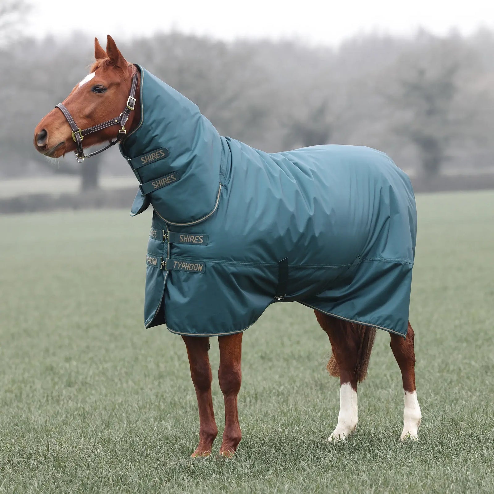Shires Typhoon 200g Medium Weight Combo Neck Turnout Rug Green