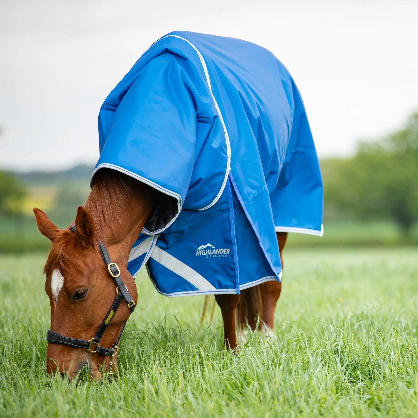 Shires Highlander Original 200g Medium Weight Turnout Rug & Neck Set