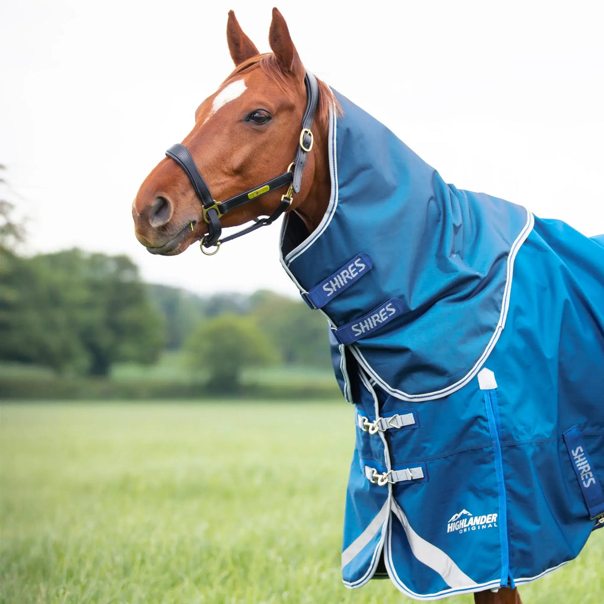 Shires Highlander Original 200g Medium Weight Turnout Rug & Neck Set