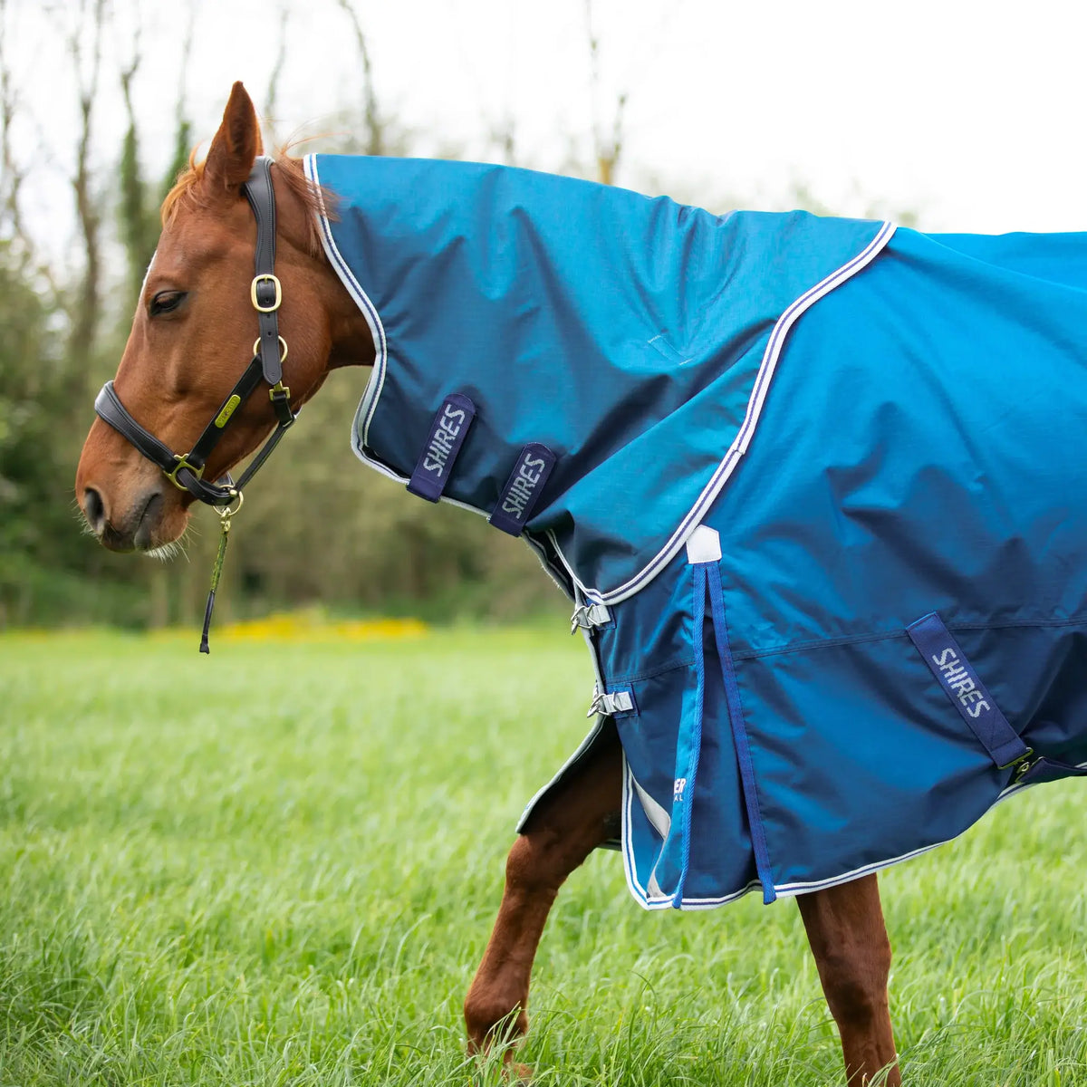 Shires Highlander Original 200g Medium Weight Turnout Rug & Neck Set