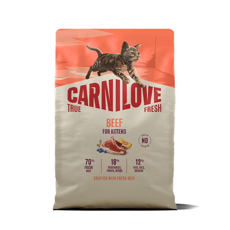Carnilove True Fresh Beef Kitten Food supports healthy growth for kittens.