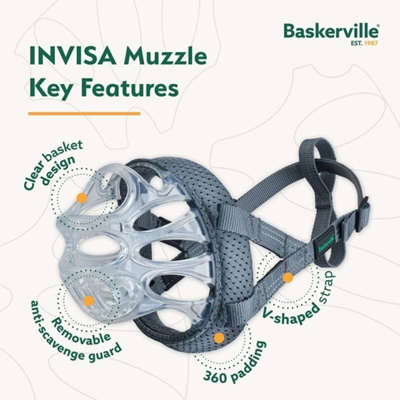 Baskerville Invisa Muzzle: transparent basket design, straps, padding, and removable guard.