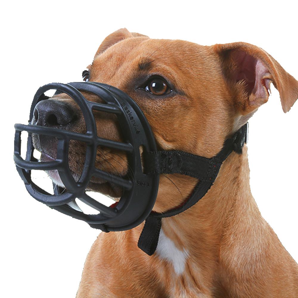 Brown dog wearing a Baskerville Ultra Muzzle by Baskerville against a white background.