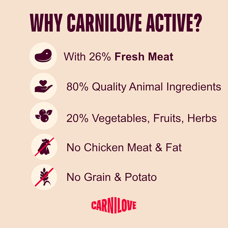 Infographic highlights Carnilove Active Salmon & Turkey, a grain-free kitten food with 26% meat.