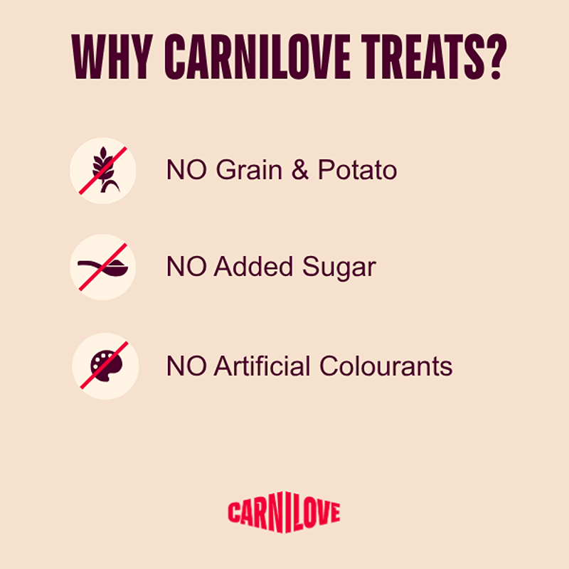 Grain-free, no added sugar or colourants; Carnilove Salmon with Blueberries Dog Treats 200g.