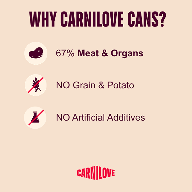 Carnilove Lamb & Wild Boar Dog Food 400g: 67% meat, grain-free wet food for adult dogs.