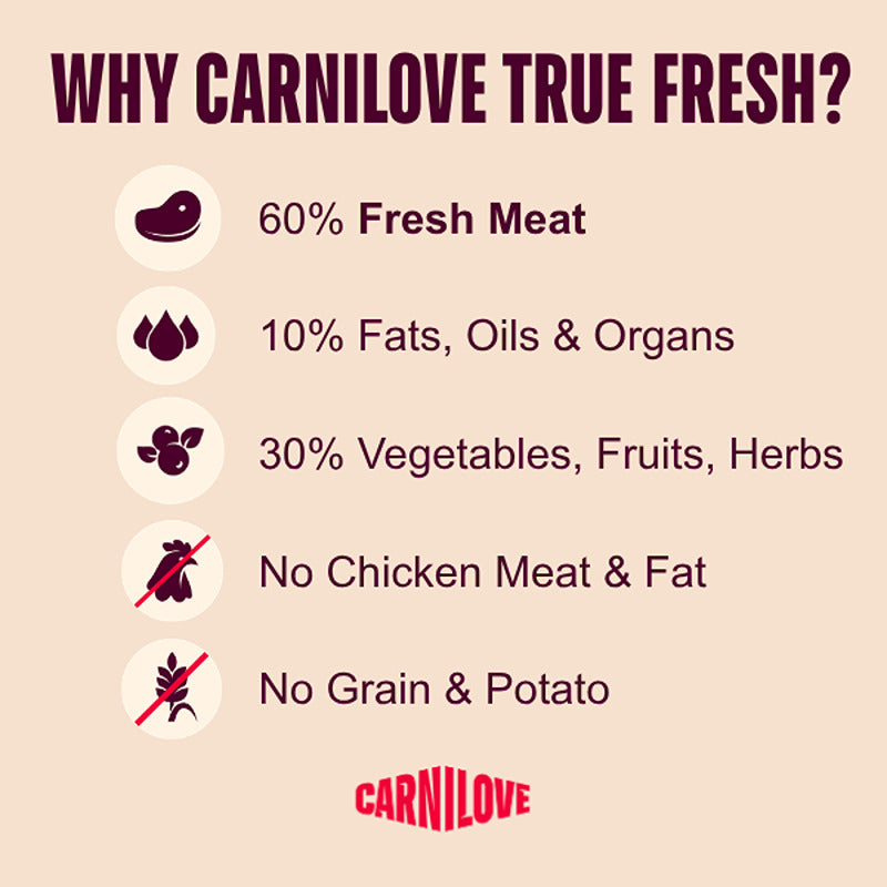 Infographic featuring Carnilove True Fresh Turkey Dog Food, a grain-free adult dog food.