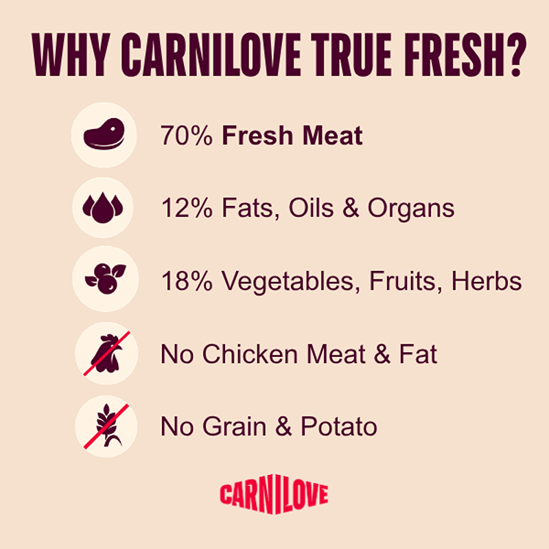 Carnilove True Fresh Beef Kitten Food supports optimal kitten growth with grain-free beef.