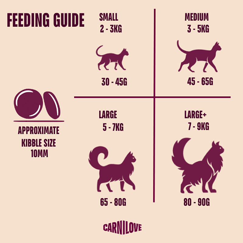 Carnilove Active Beef & Venison cat feeding chart with portions by size; grain-free options included.