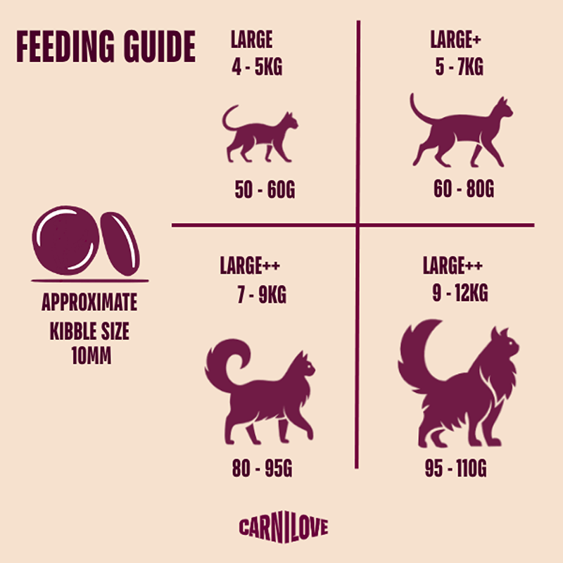 Carnilove Active Salmon &amp; Turkey kibble portion chart in grams by cat weight.