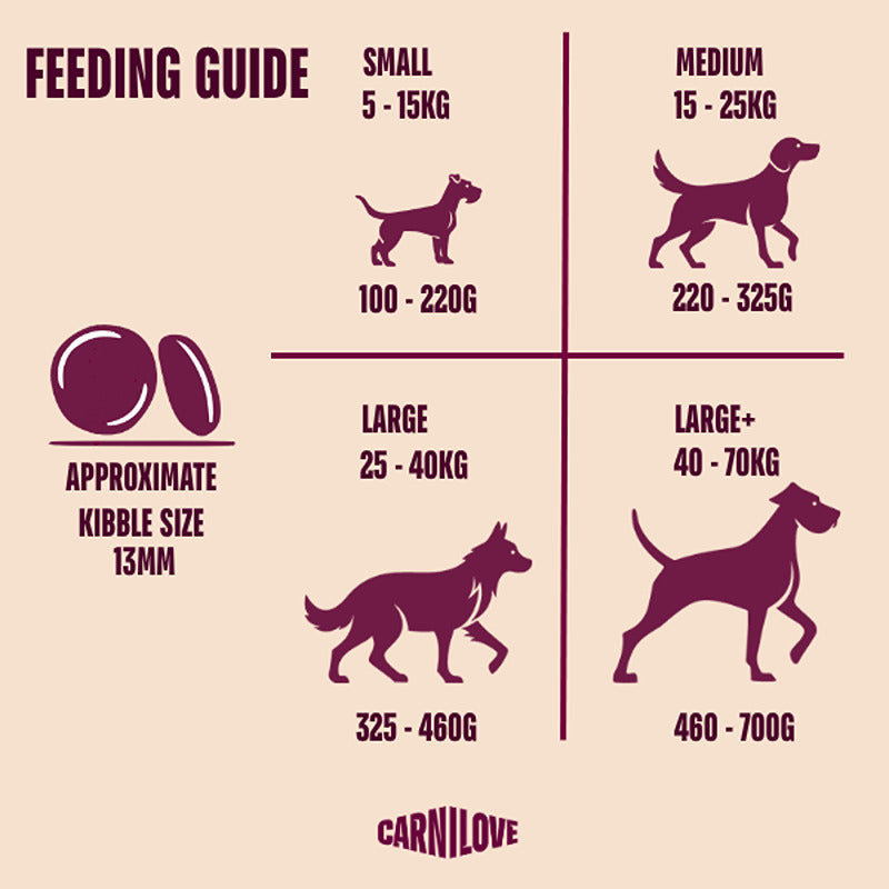 Feeding guide for Carnilove Active Salmon & Turkey Dog Food; includes kibble sizes and daily grams.