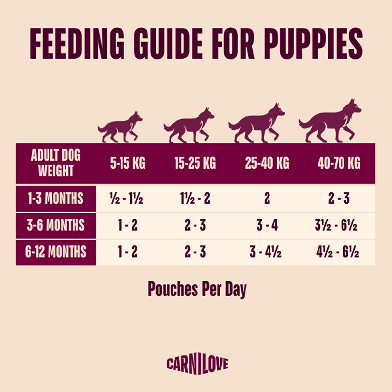 Carnilove puppy pouch feeding guide: daily amounts by age for Turkey & Salmon with Blueberries.