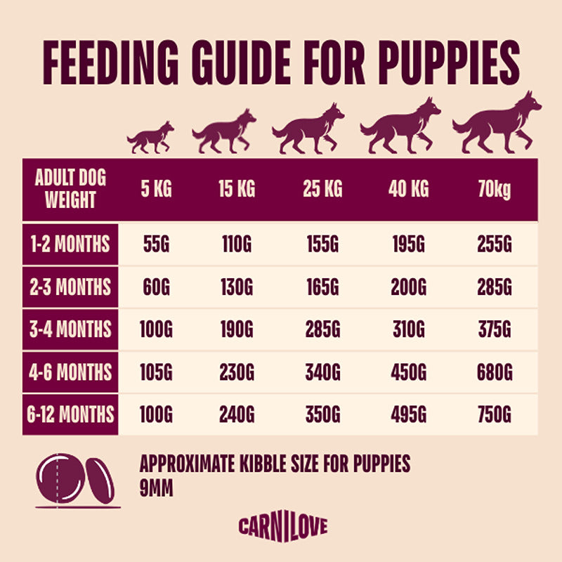 Guide chart with recommended Carnilove True Fresh Duck Puppy Dog Food amounts by age and weight.