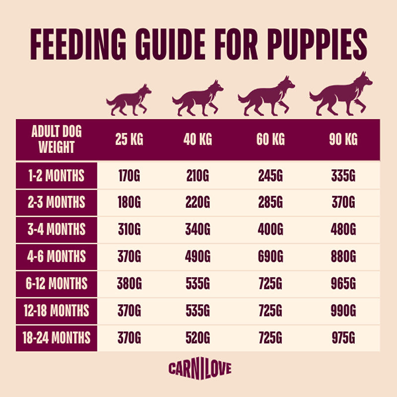 Carnilove True Fresh Duck Junior Large Breed puppy feeding chart with daily grams by weight and age.