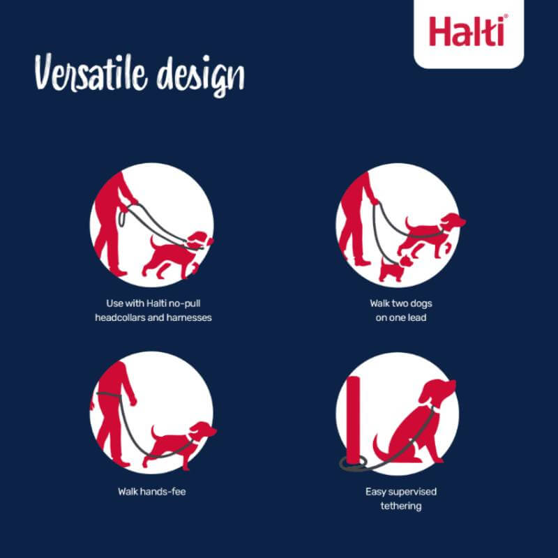 Infographic: 4 ways to use the Halti Dog Training Lead for no-pull walks and tethering.