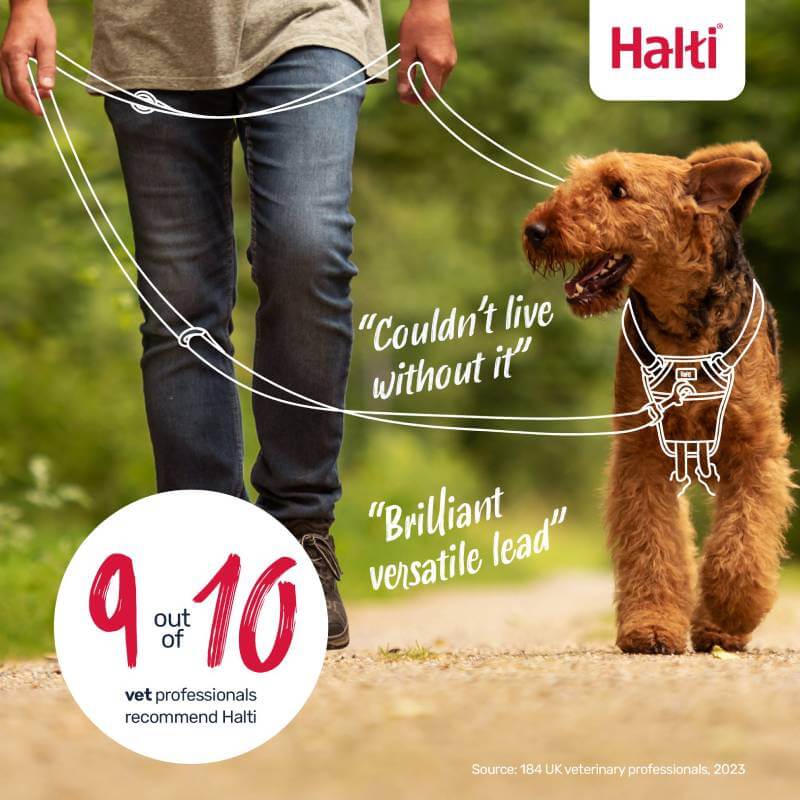 Person walks dog with Halti Dog Training Lead, known for no-pull control and top ratings.