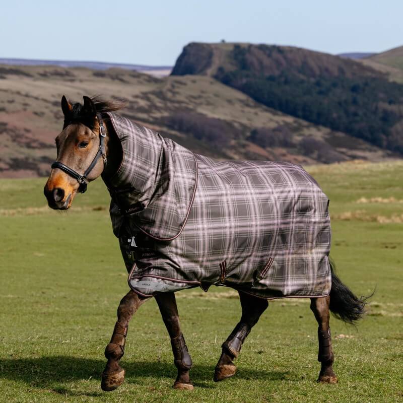 LeMieux Arika Heritage Check Medium Weight 100g Detachable Neck Turnout Rug Cocoa