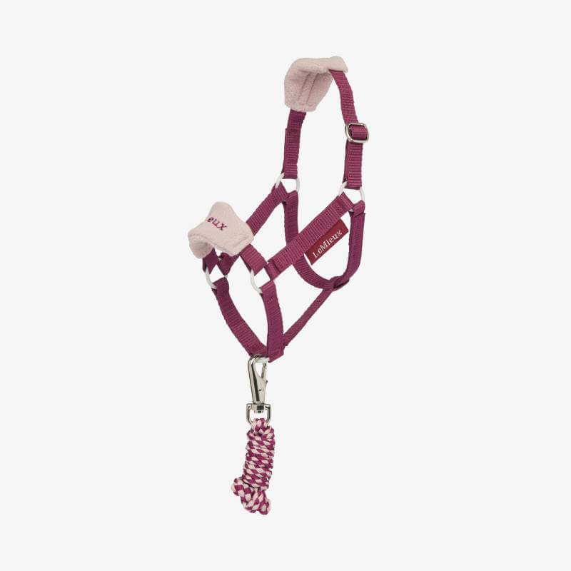LeMieux Hobby Horse Vogue Headcollar &amp; Leadrope Blackberry One Size