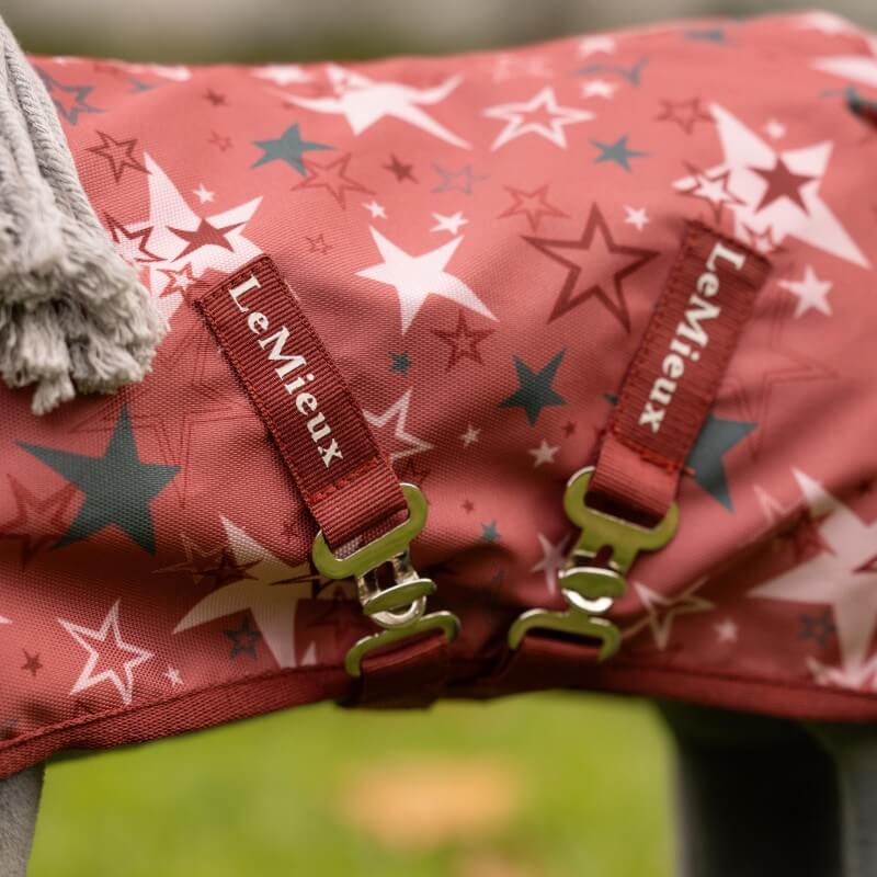 LeMieux Toy Pony Printed Turnout Rug Spiced Earth
