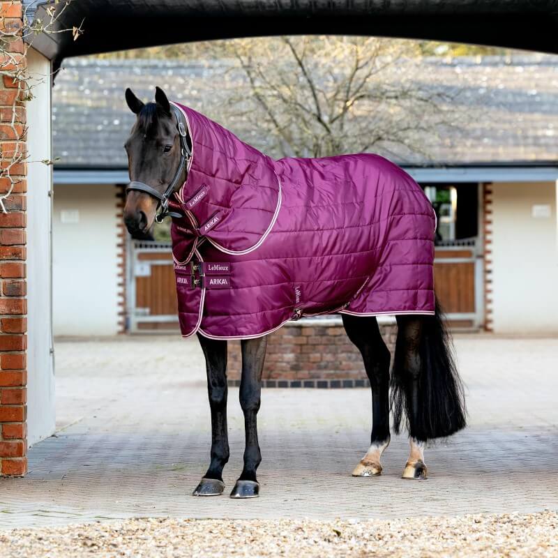 LeMieux Arika Stable-Tek Rug with Neck Medium Weight 200g Blackberry