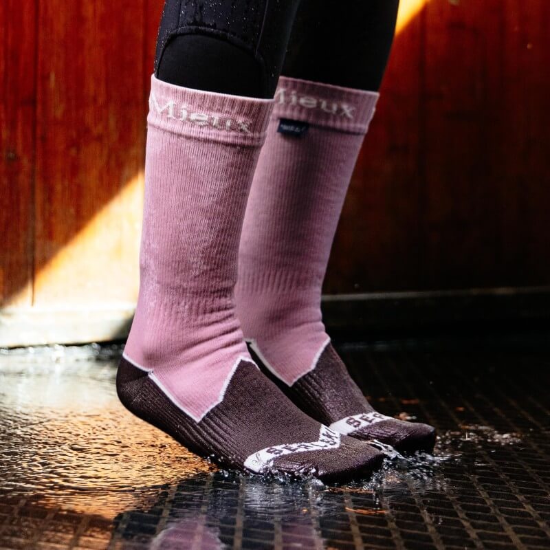 LeMieux x Sealskinz Waterproof Socks Dusty Pink