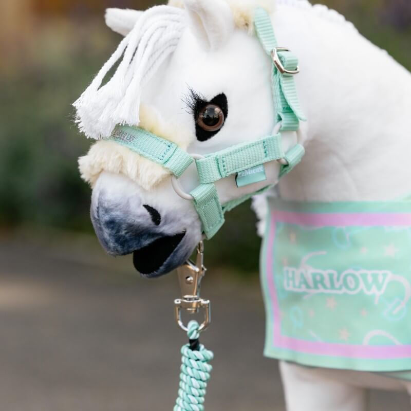 LeMieux Harlow Toy Pony Headcollar &amp; Leadrope Softmint