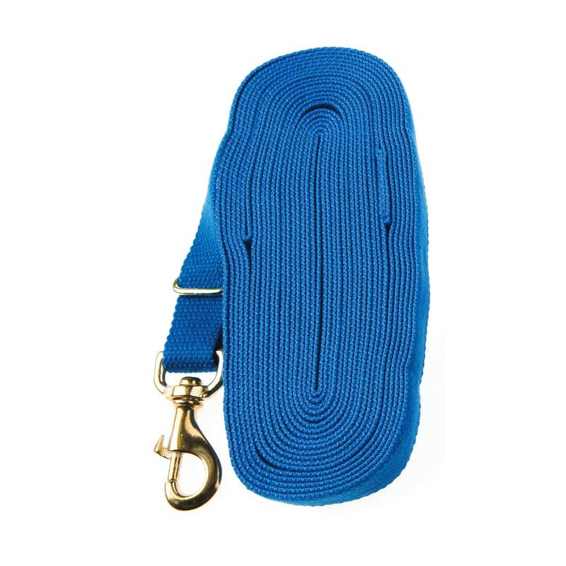 Kincade Lunge Rein: Blue, rolled-up with metal clasp; perfect for horse training.