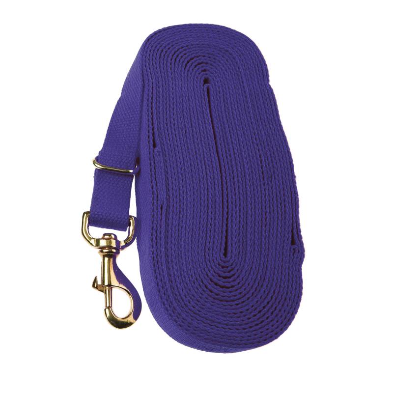 Kincade Lunge Rein: a coiled purple leash with a brass clasp, like one used for horse groundwork.
