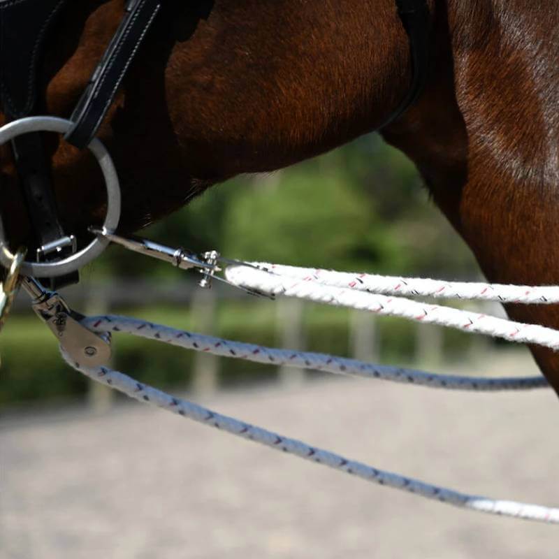 Close-up of Kincade Lunging Training System bridle and reins with white ropes, used outdoors.