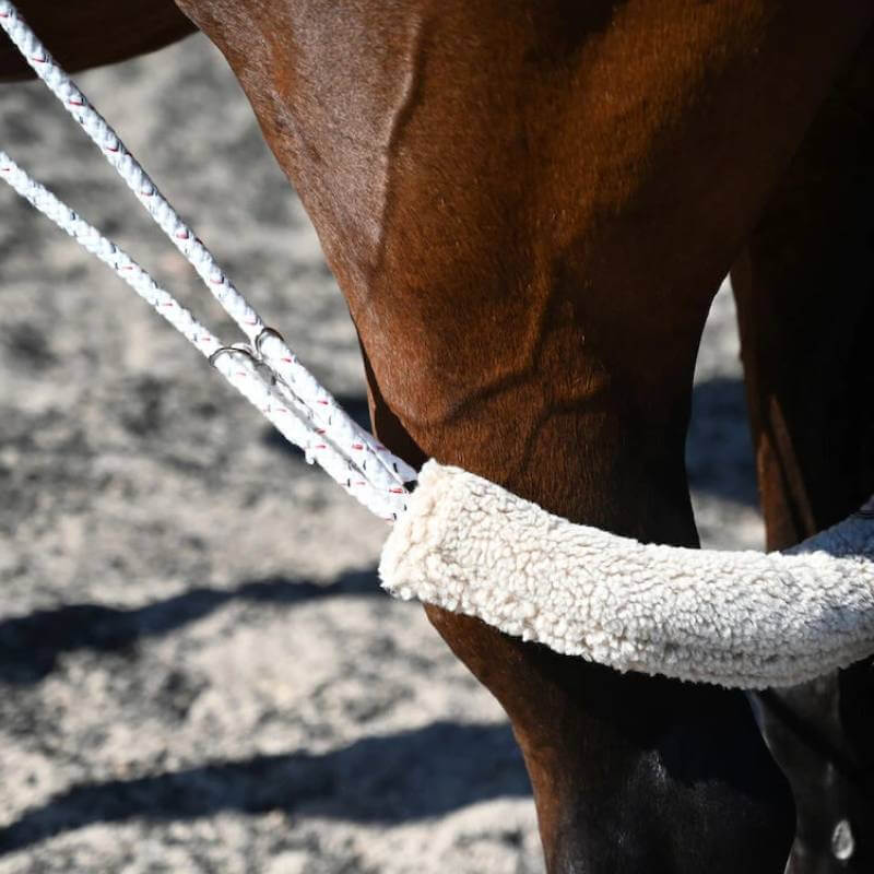 Kincade Lunging Training System and fleece protector shown on horse's leg on sandy ground.