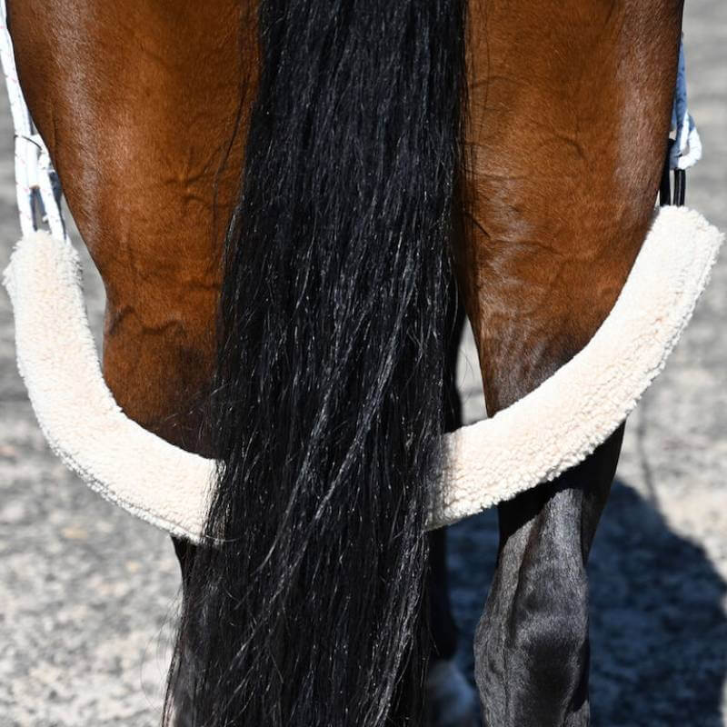 Kincade Lunging Training System on horse's tail during lunging exercises.