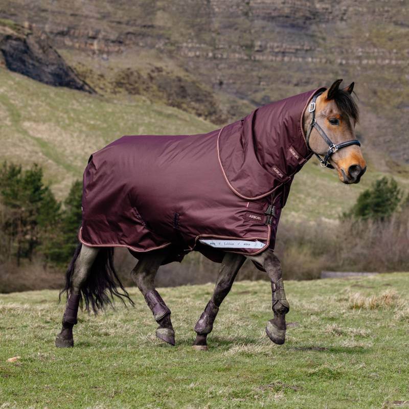 Lemieux Arika Ripstop 200G Detachable Neck Turnout Rug Bramble