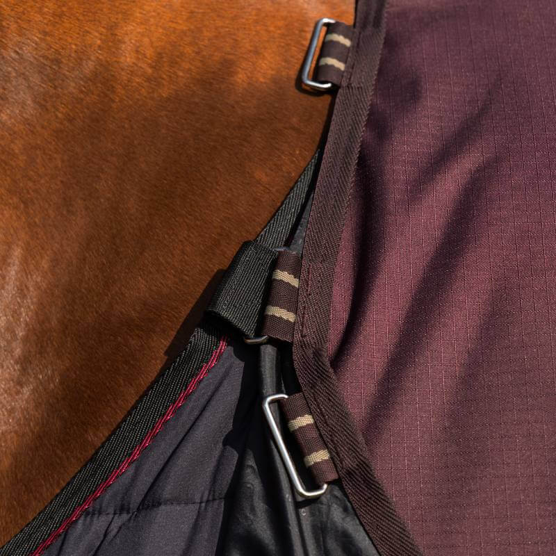 Lemieux Arika Ripstop 100G Detachable Neck Turnout Rug Bramble