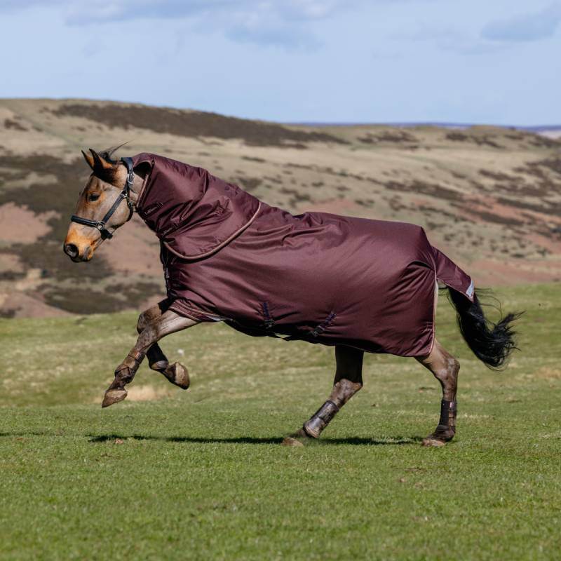 Lemieux Arika Ripstop 200G Detachable Neck Turnout Rug Bramble