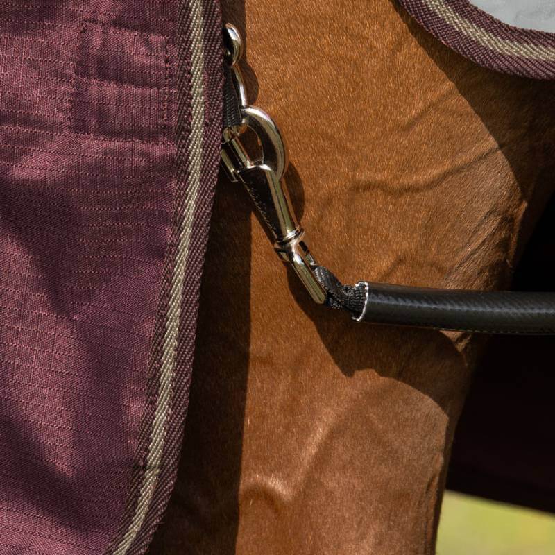 Lemieux Arika Ripstop 200G Detachable Neck Turnout Rug Bramble