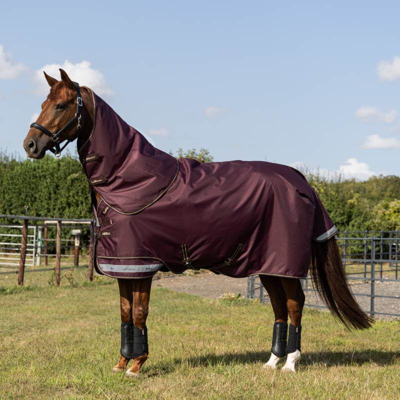 Lemieux Arika Ripstop 200G Detachable Neck Turnout Rug Bramble