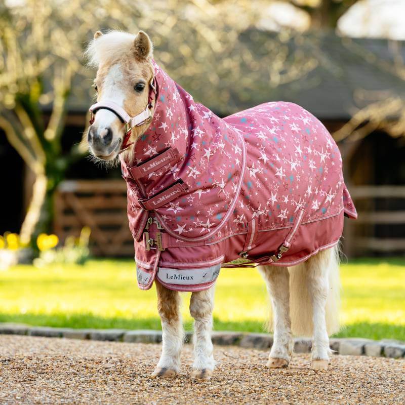 Lemieux Arika Star Detachable Neck Turnout Rug 100G Spiced Earth
