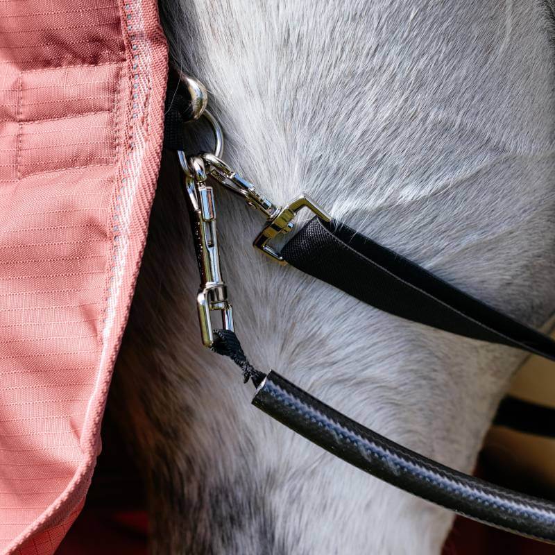 Lemieux Arika Star Detachable Neck Turnout Rug 100G Spiced Earth