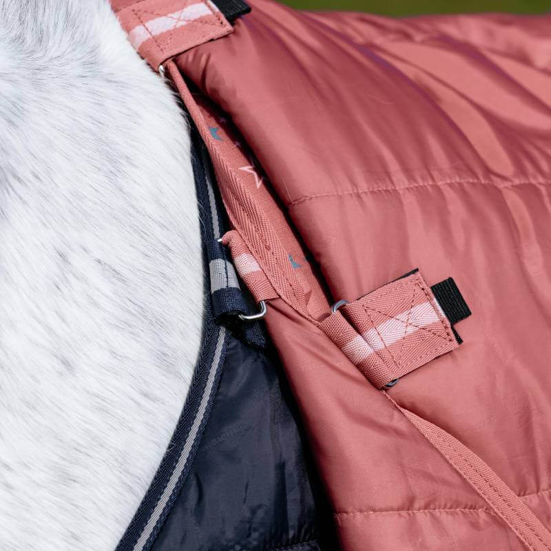 Lemieux Arika Star Detachable Neck Turnout Rug 100G Spiced Earth