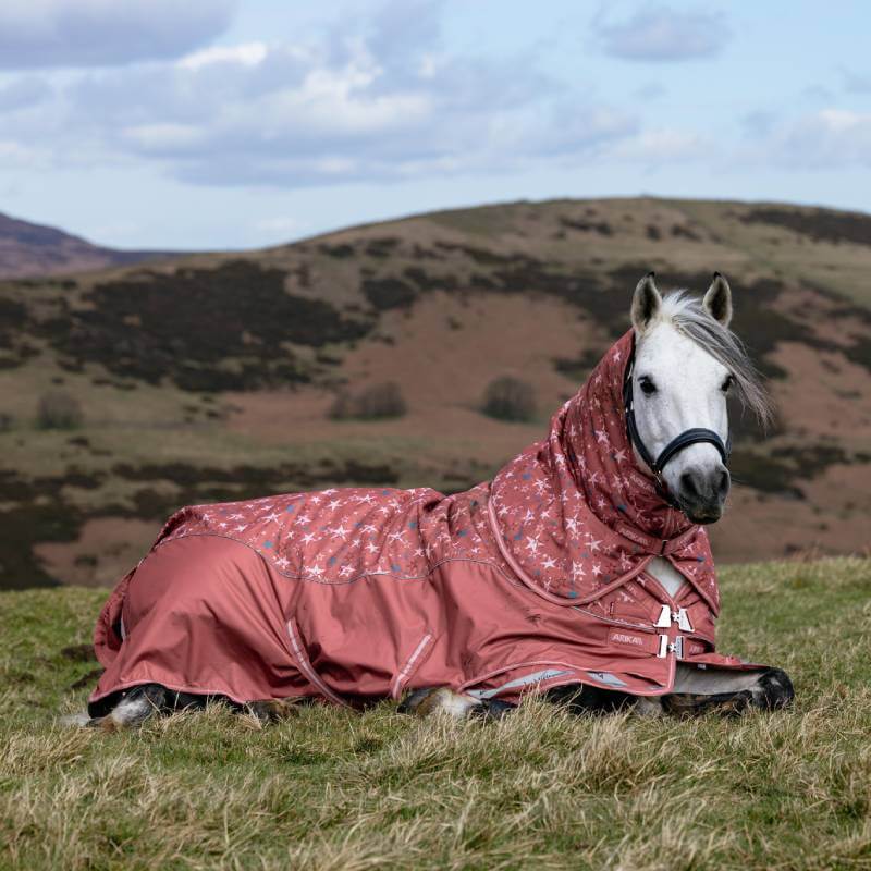 Lemieux Arika Star Detachable Neck Turnout Rug 100G Spiced Earth