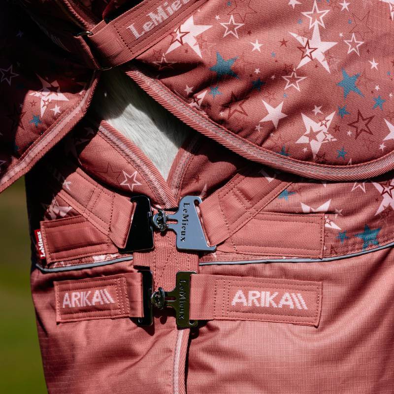 Lemieux Arika Star Detachable Neck Turnout Rug 100G Spiced Earth