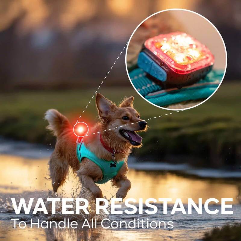 Meolinq LightPlus Rechargeable High Visibility Safety Light